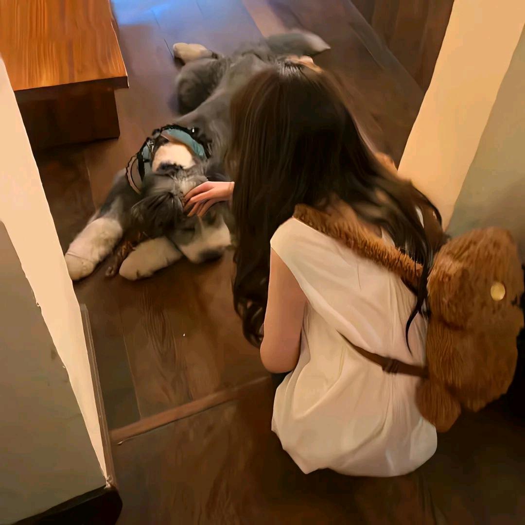鱿鱼小薯条