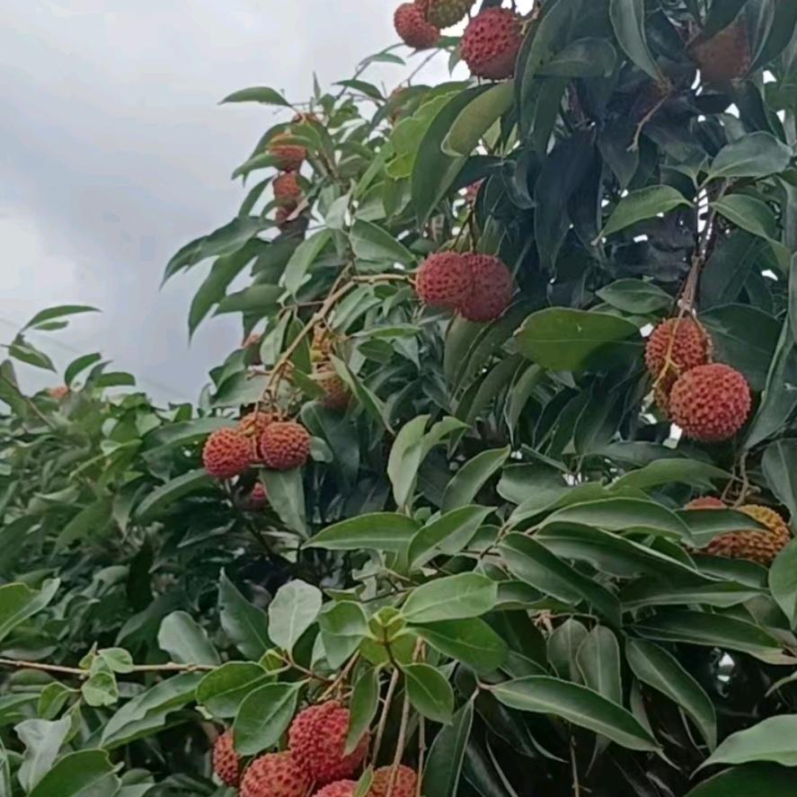 @阳光