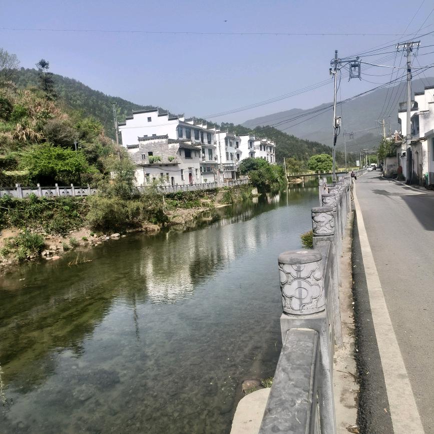 笑着活下去🐯罗