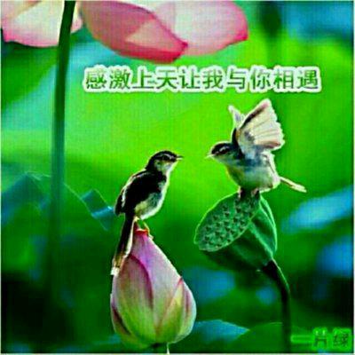 翩翩起舞.长相依
