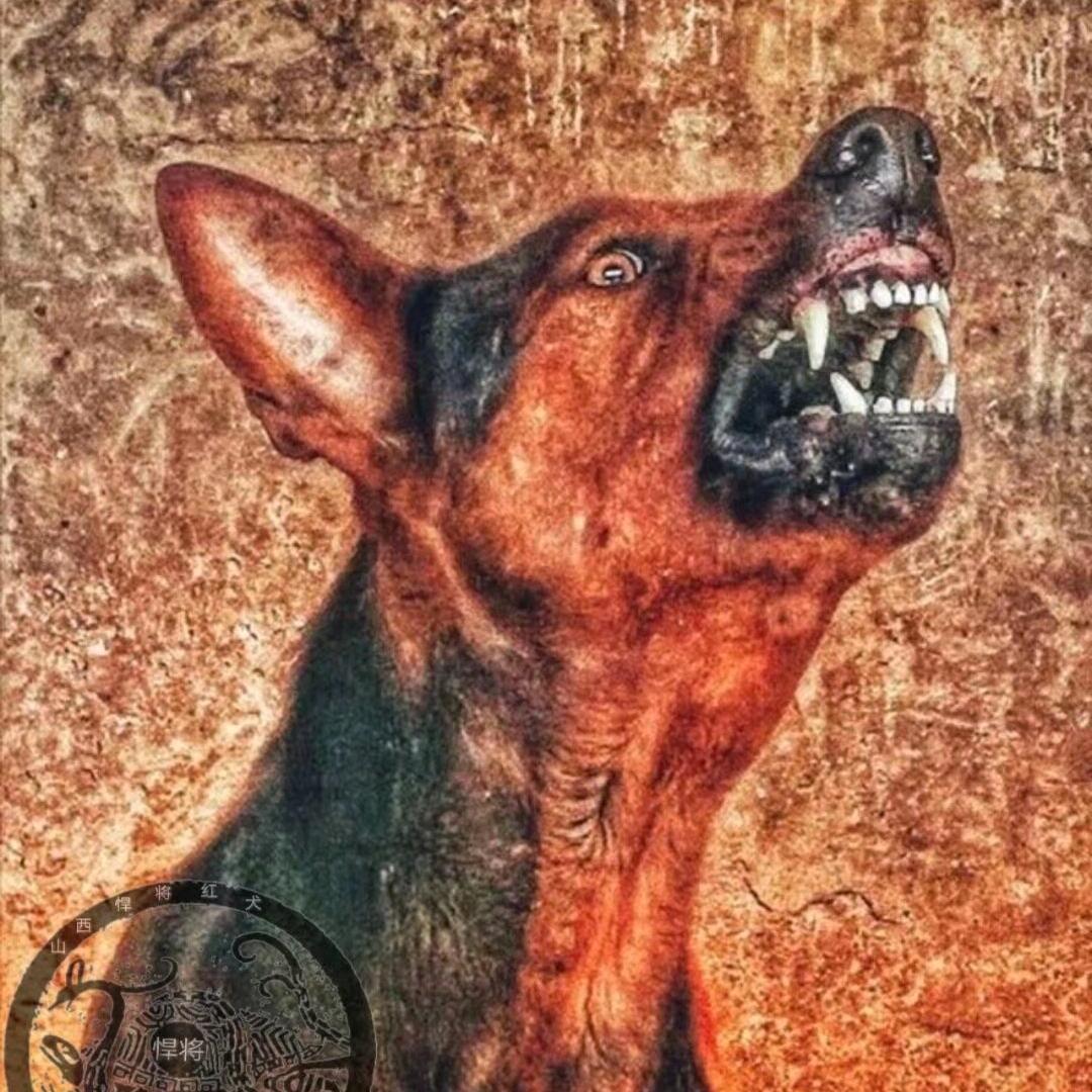 山西悍将犬场