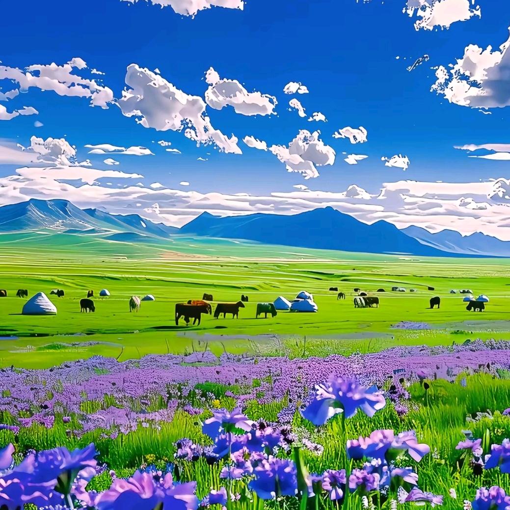 水竹