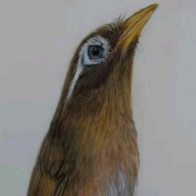 我命有我不有天