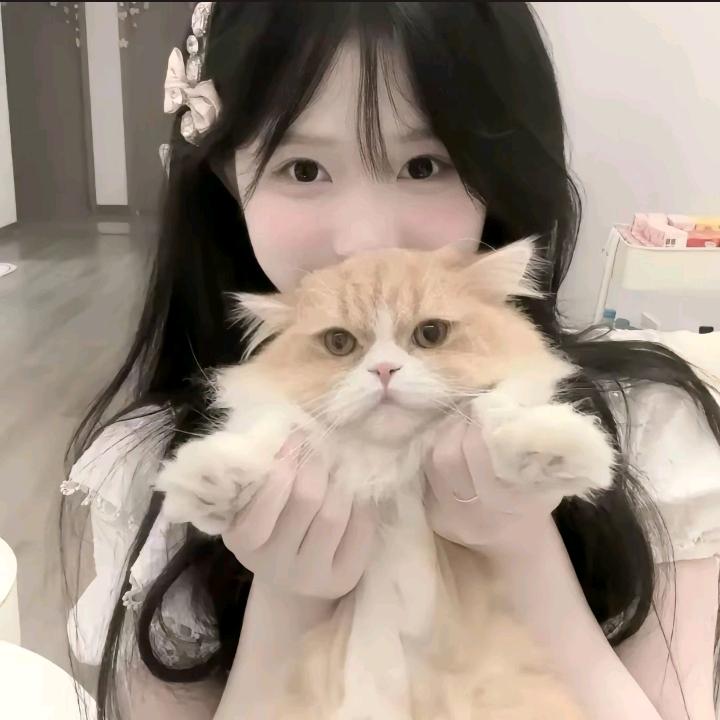 呆᳐呆小宝᳐੭