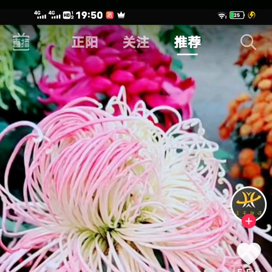 用户6394387750684一生平安