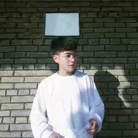 雾会散.
