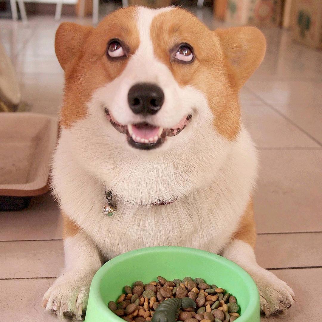 拾柒