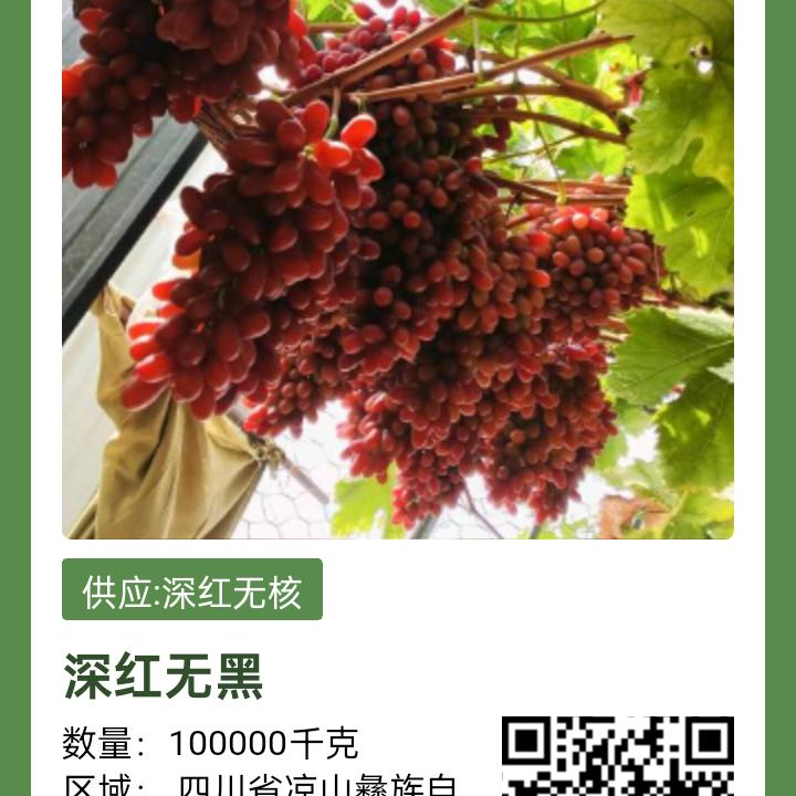 蓝月亮