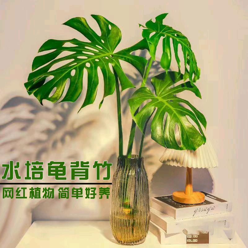 千针林园艺坊