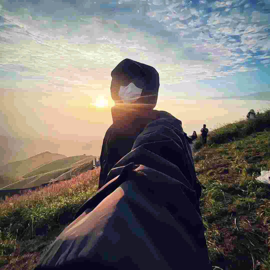 啊彪（专职投喂大学生）