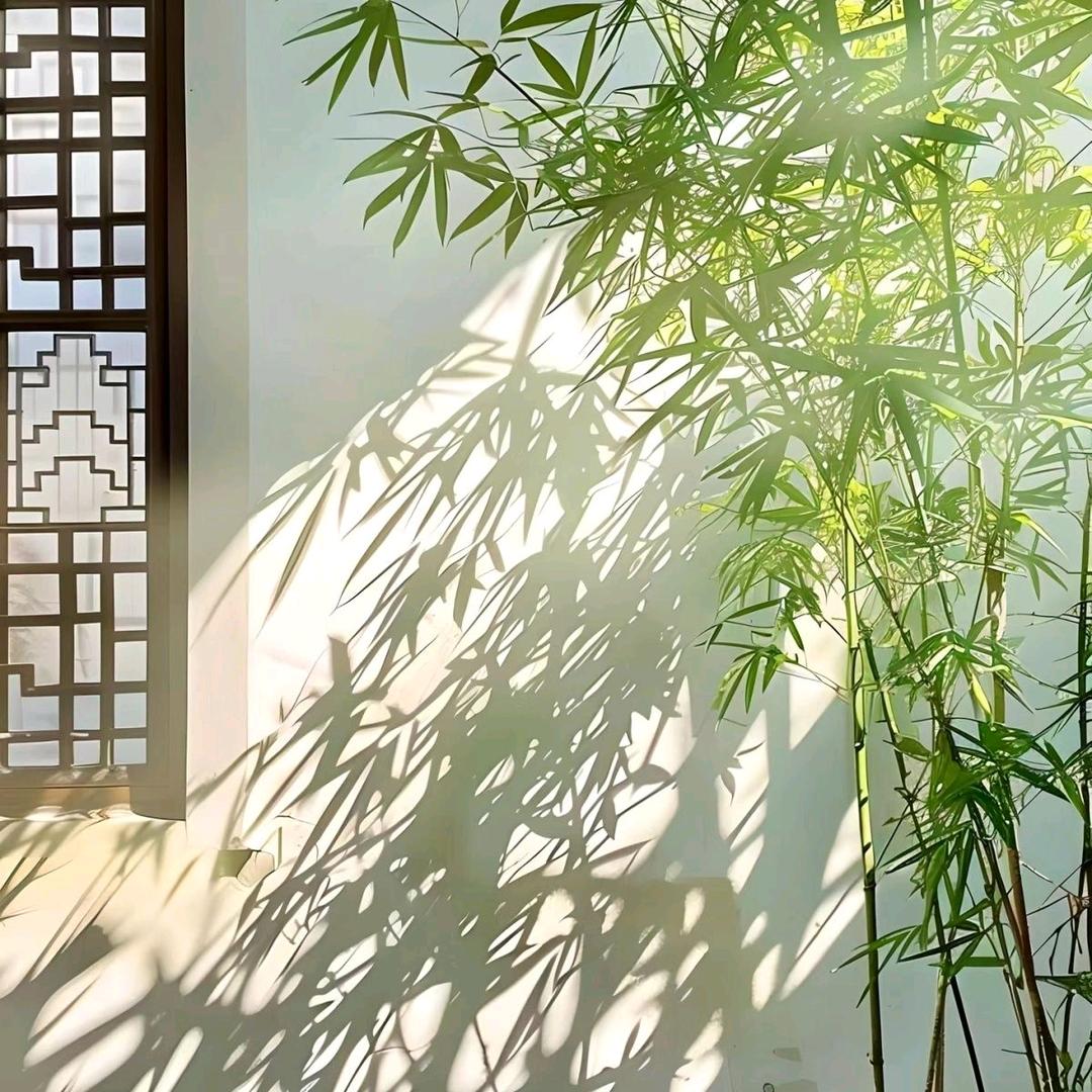 宇宇妈妈