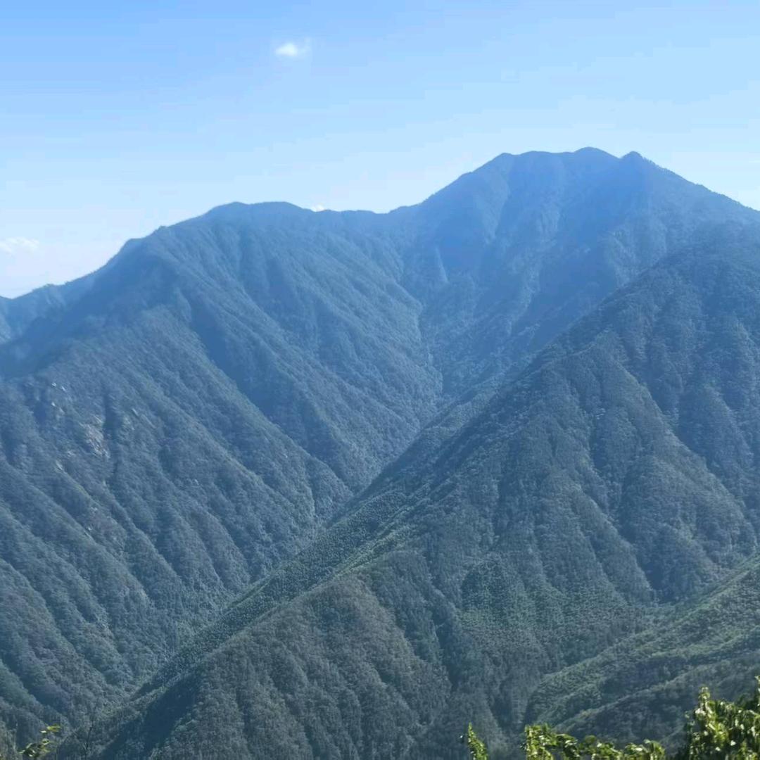 岩妍