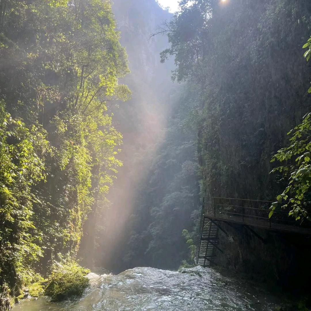 等风来
