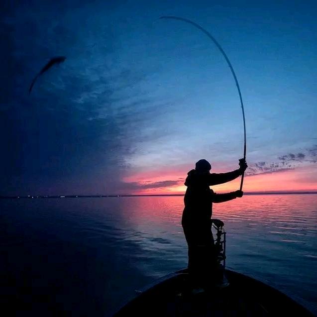 YG钓鱼🎣🐟