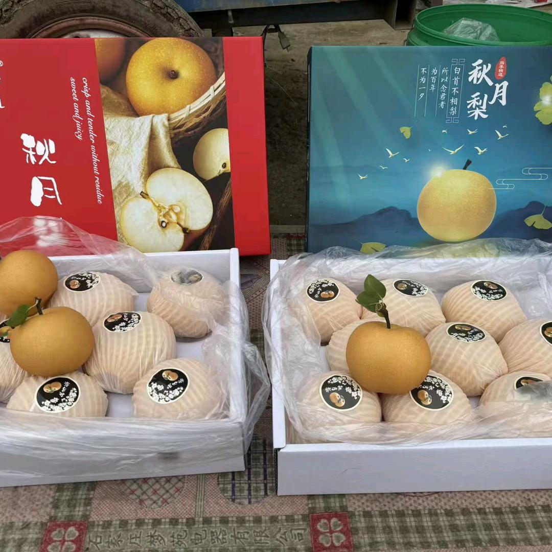 修心