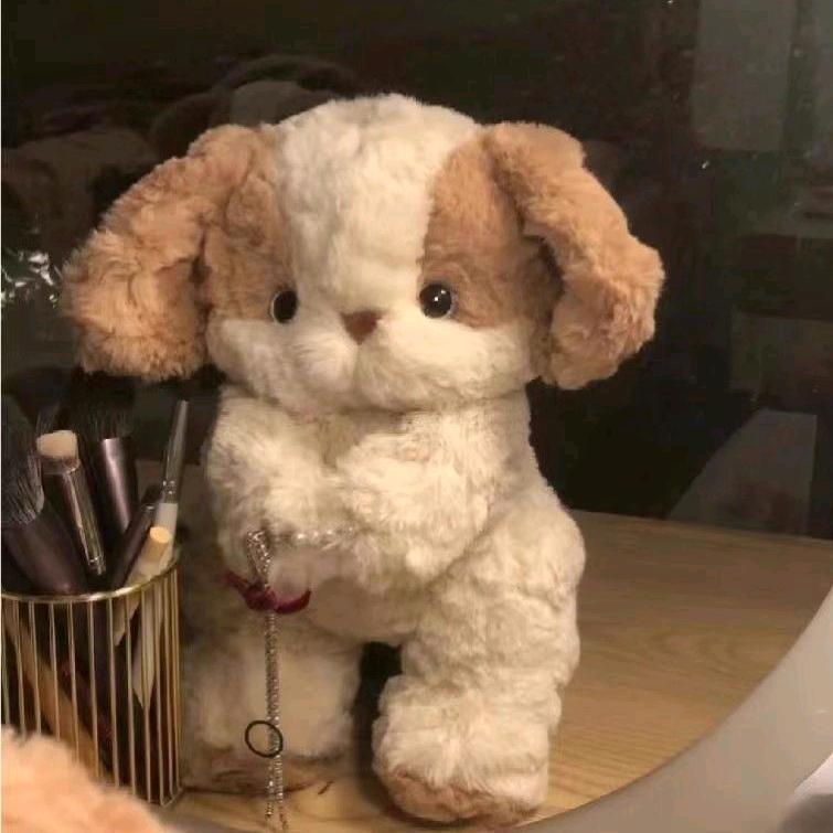 ⭐️⭐️⭐️⭐️⭐️