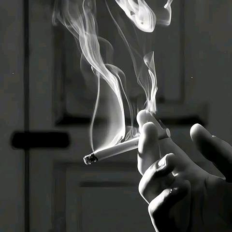 墨染༒成画