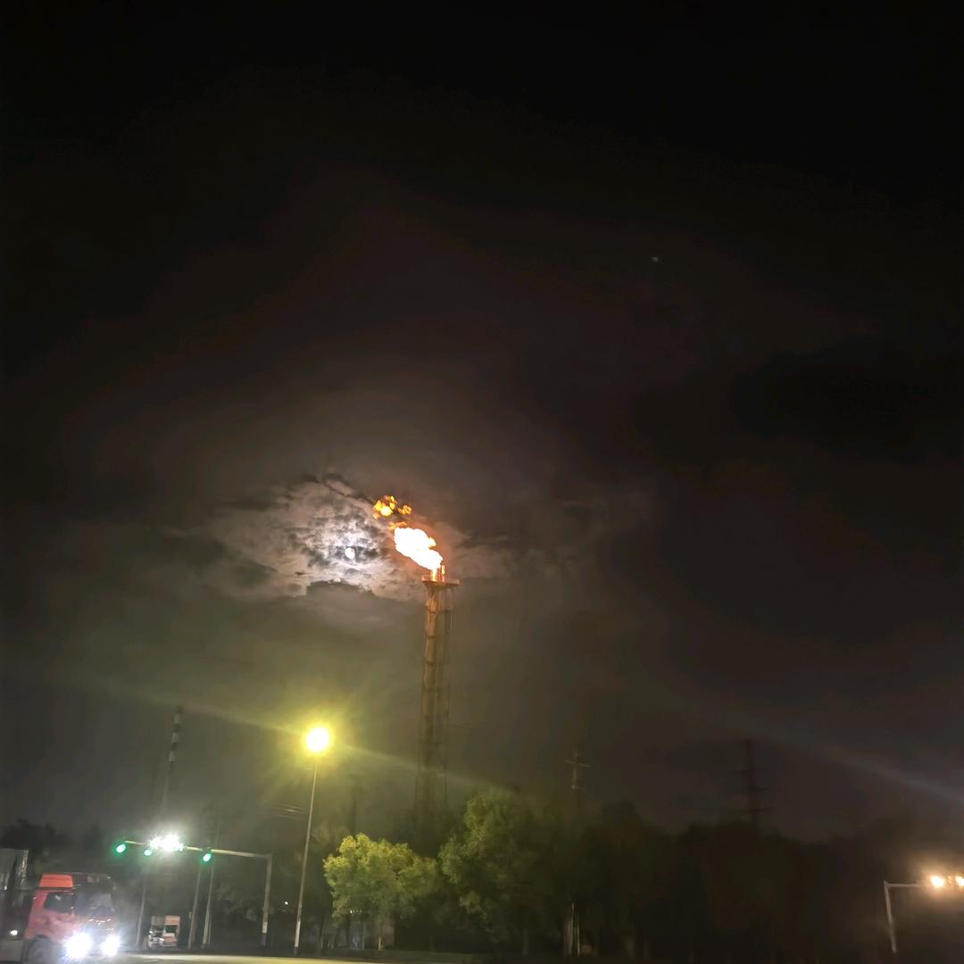 林风照野