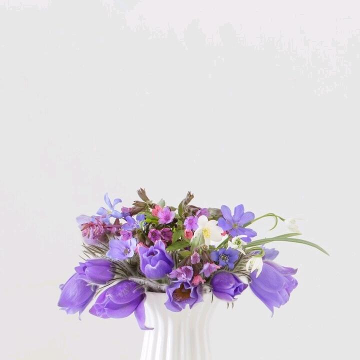 哥还是这么帅
