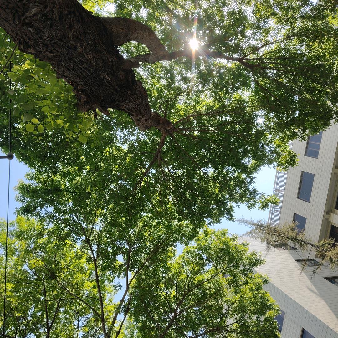如沐春风¹³¹⁷i
