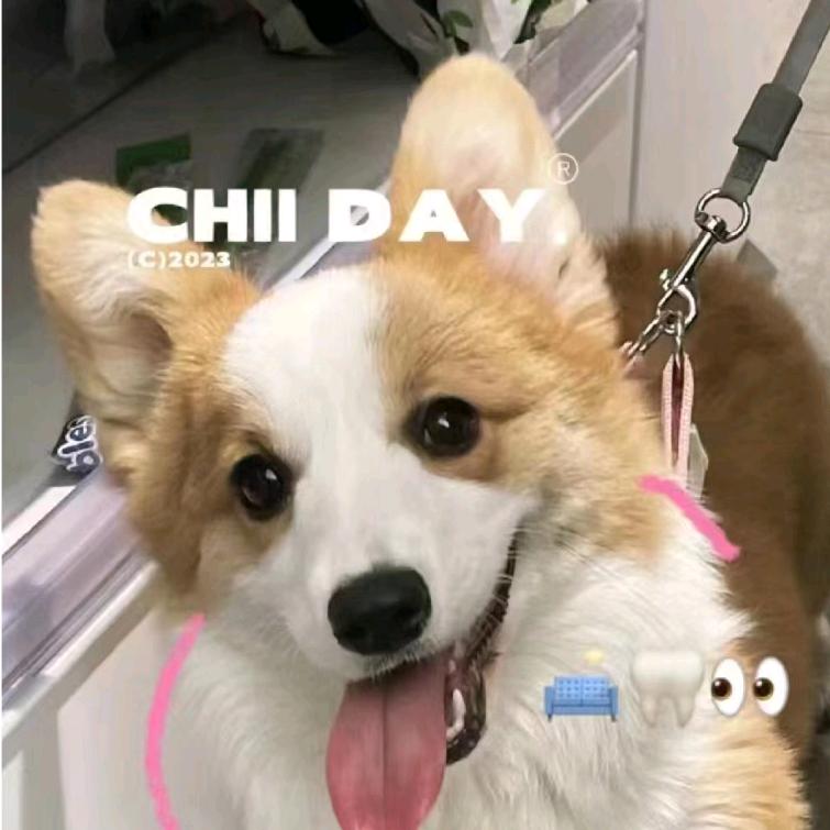 呵