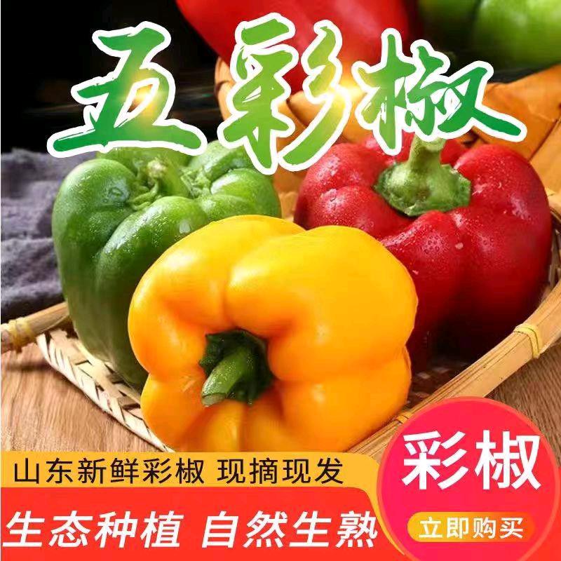 常小常