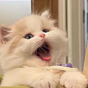 不要叫我小俞。