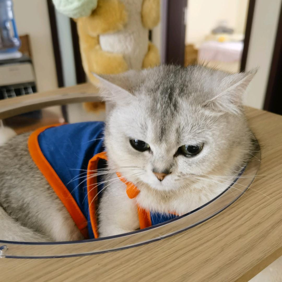 九万🪤