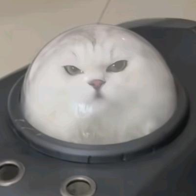 吉吉国王特别急