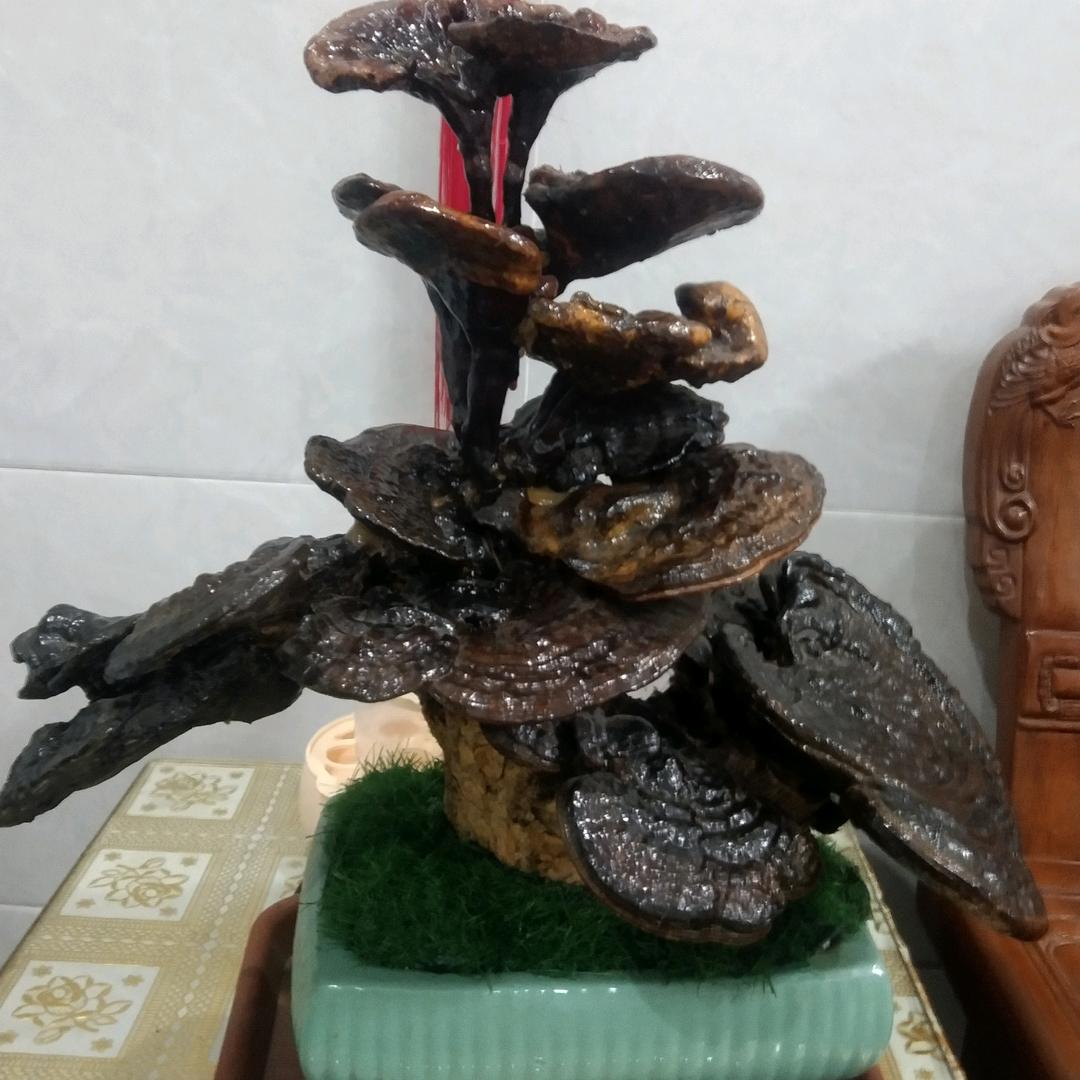 余总