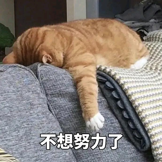 慕研堂