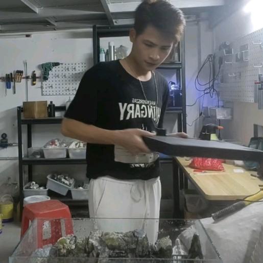 阿锋生态鸟笼
