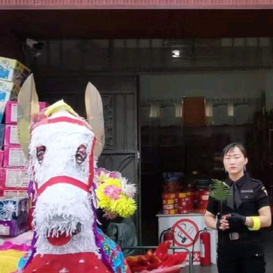 枝梅姐