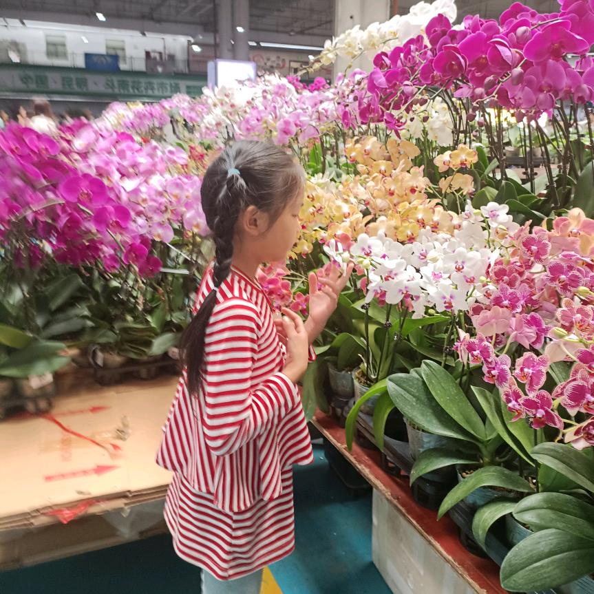 无忧无愁，过好每一天。