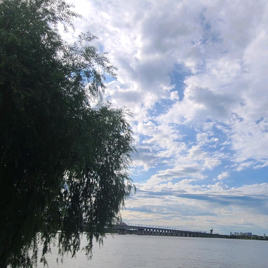 浪子杨过