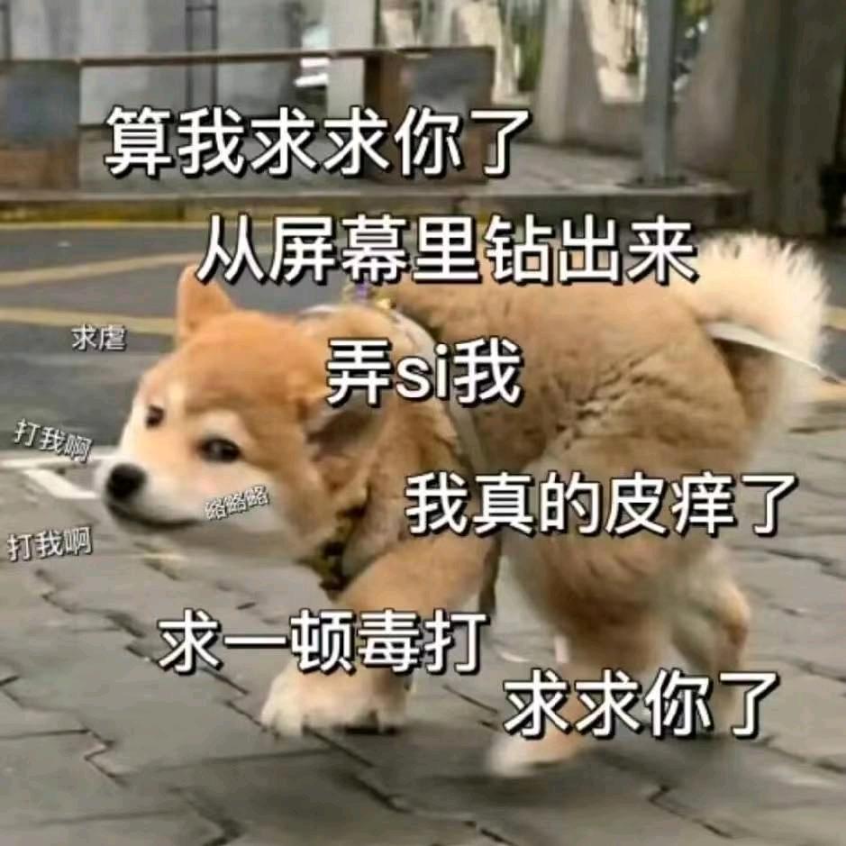 CFM丶不爱吃香菜