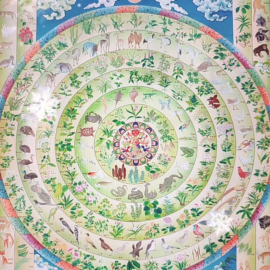 白描线稿分享