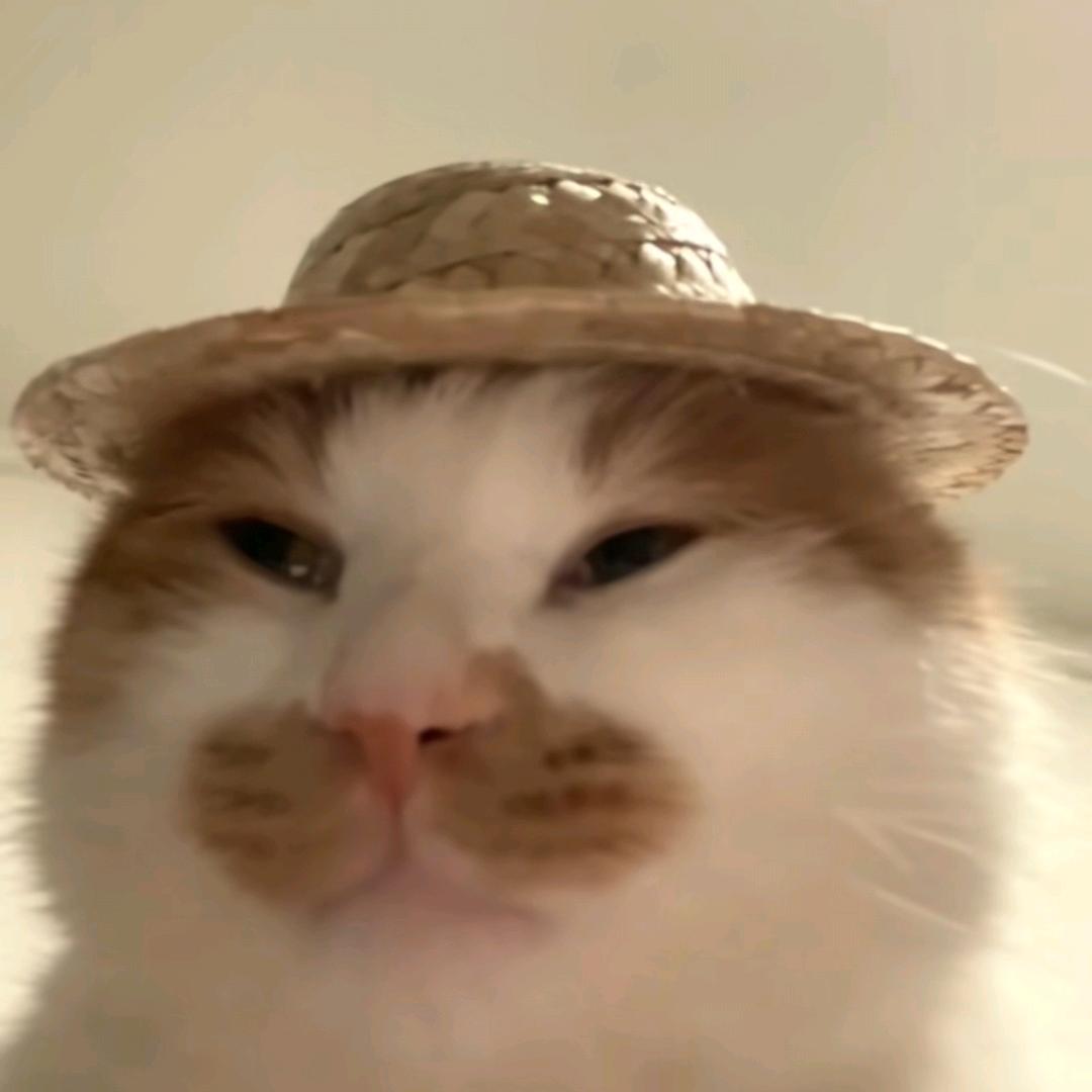 。么凹猫
