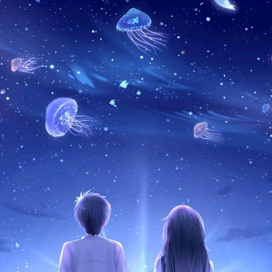 ✨️星空✨️