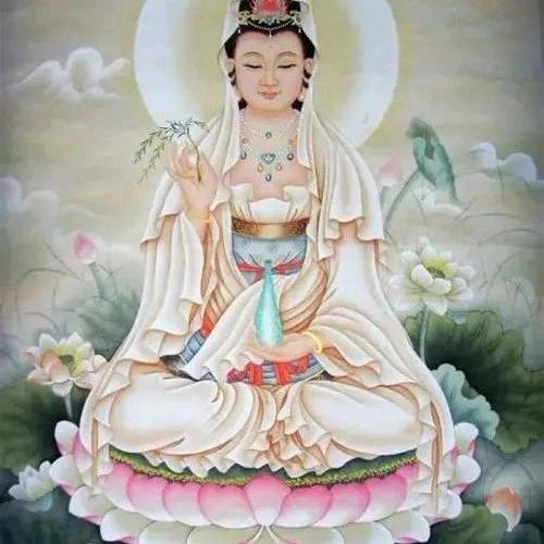 善缘姜姐