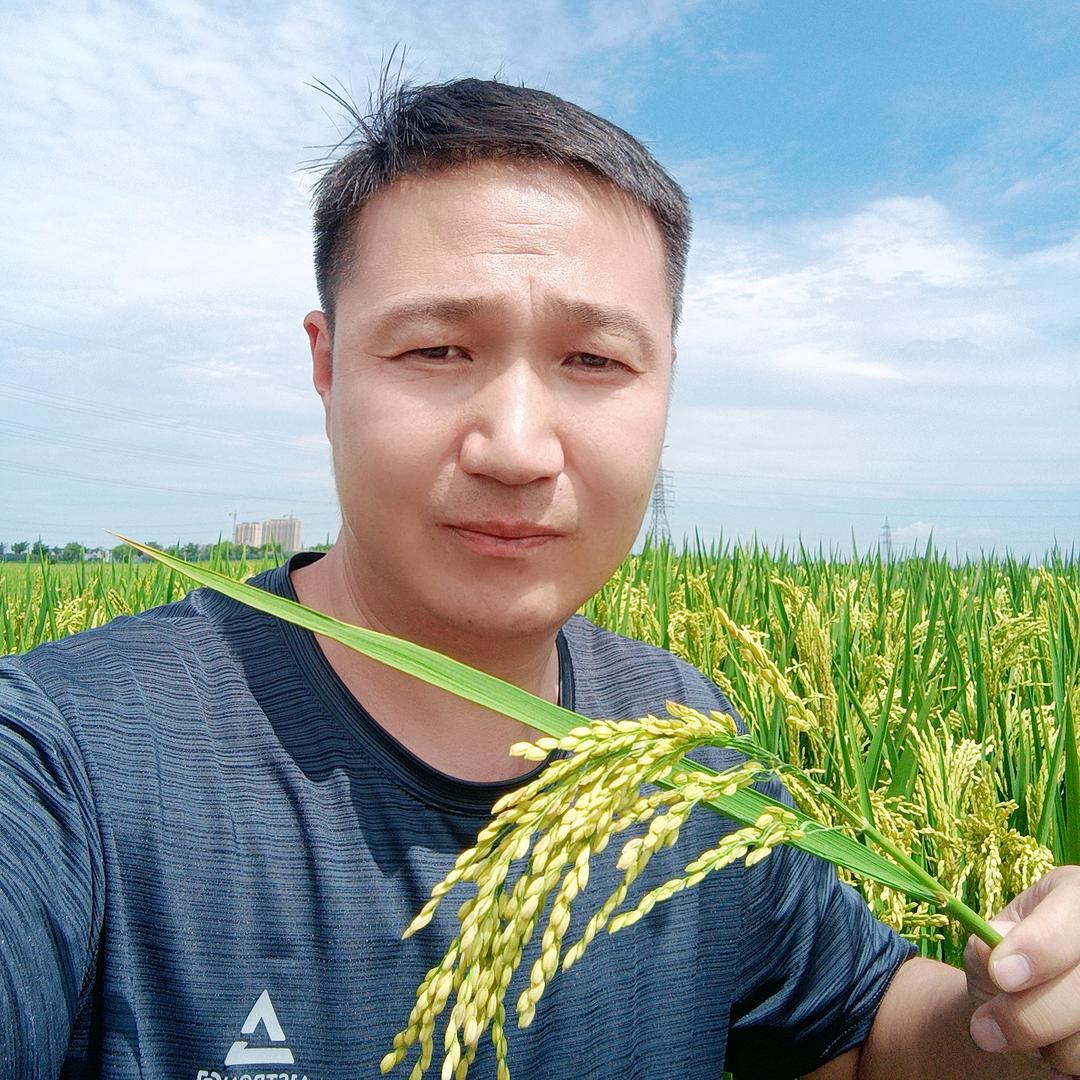 糖糖说农
