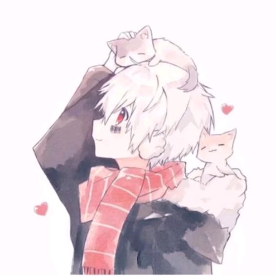 贺❤俞.