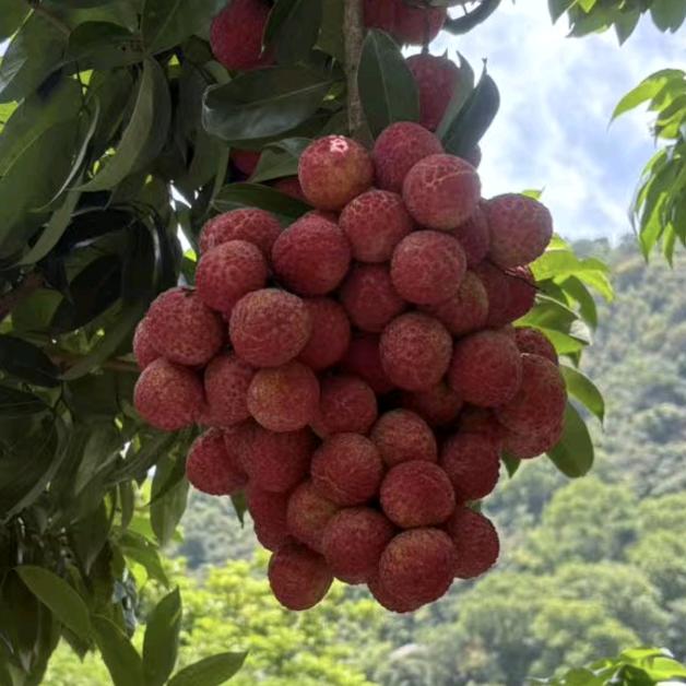 嘉盛益鲜果铺子