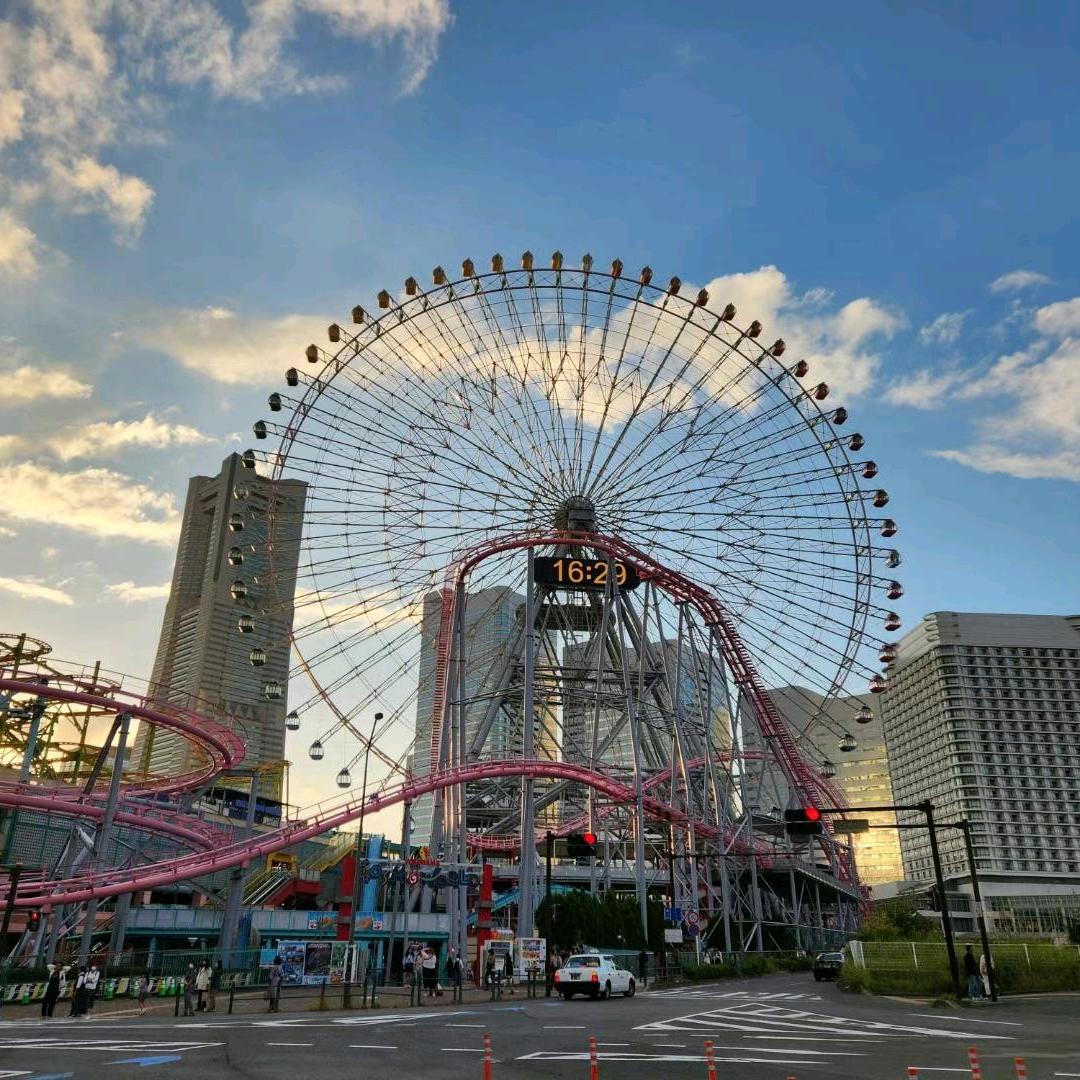 大冤种的生活指南