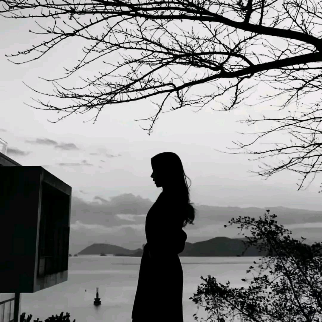 再见亦是陌生人