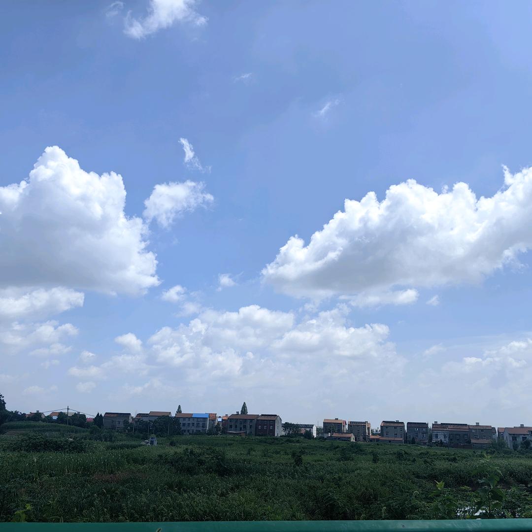 你好我好大家好