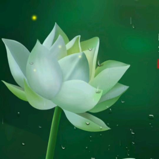 越越，修心，开悟，觉醒