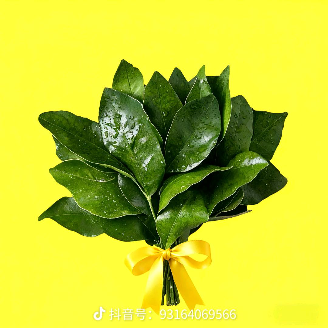 如果有如果