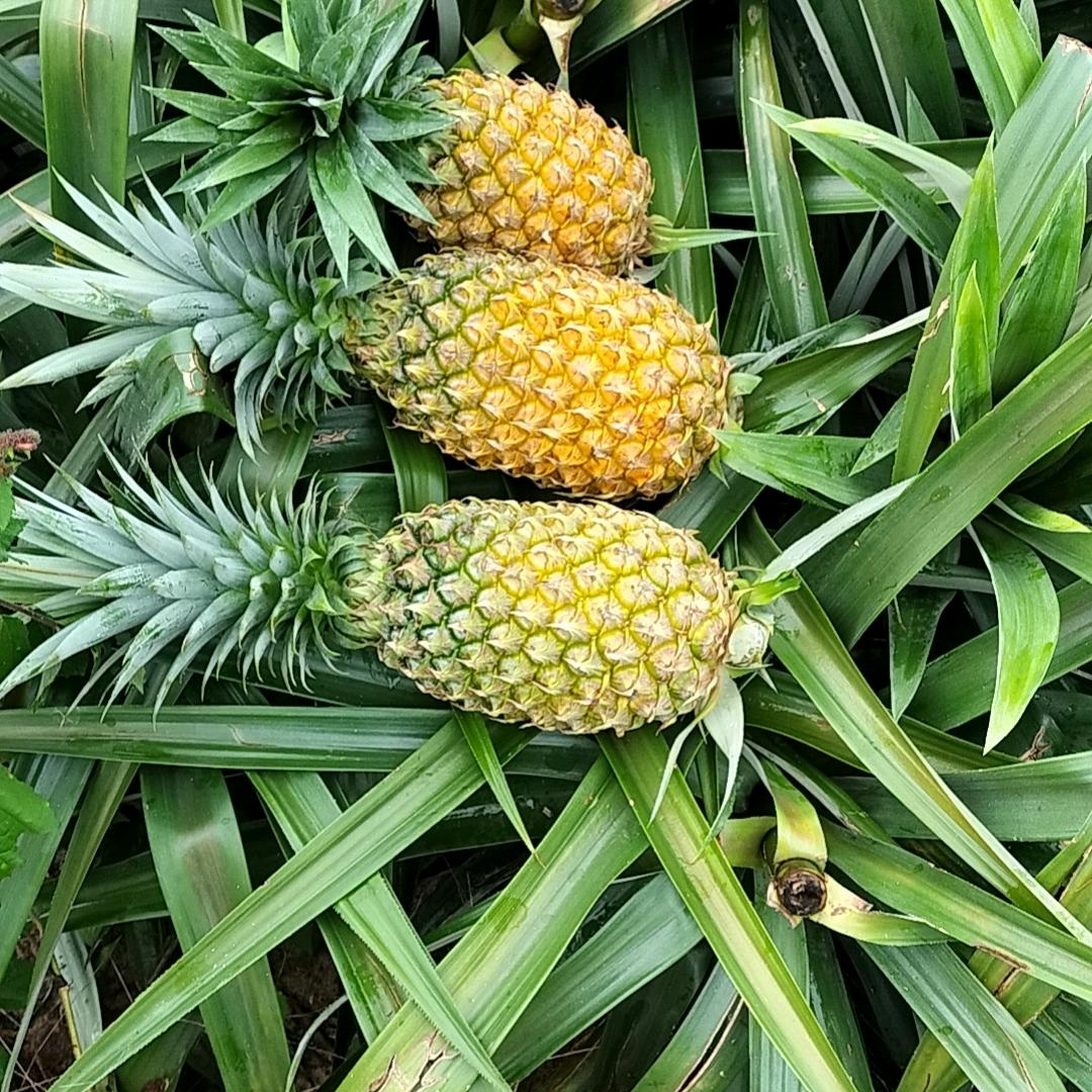 不抱怨生活，你就赢了