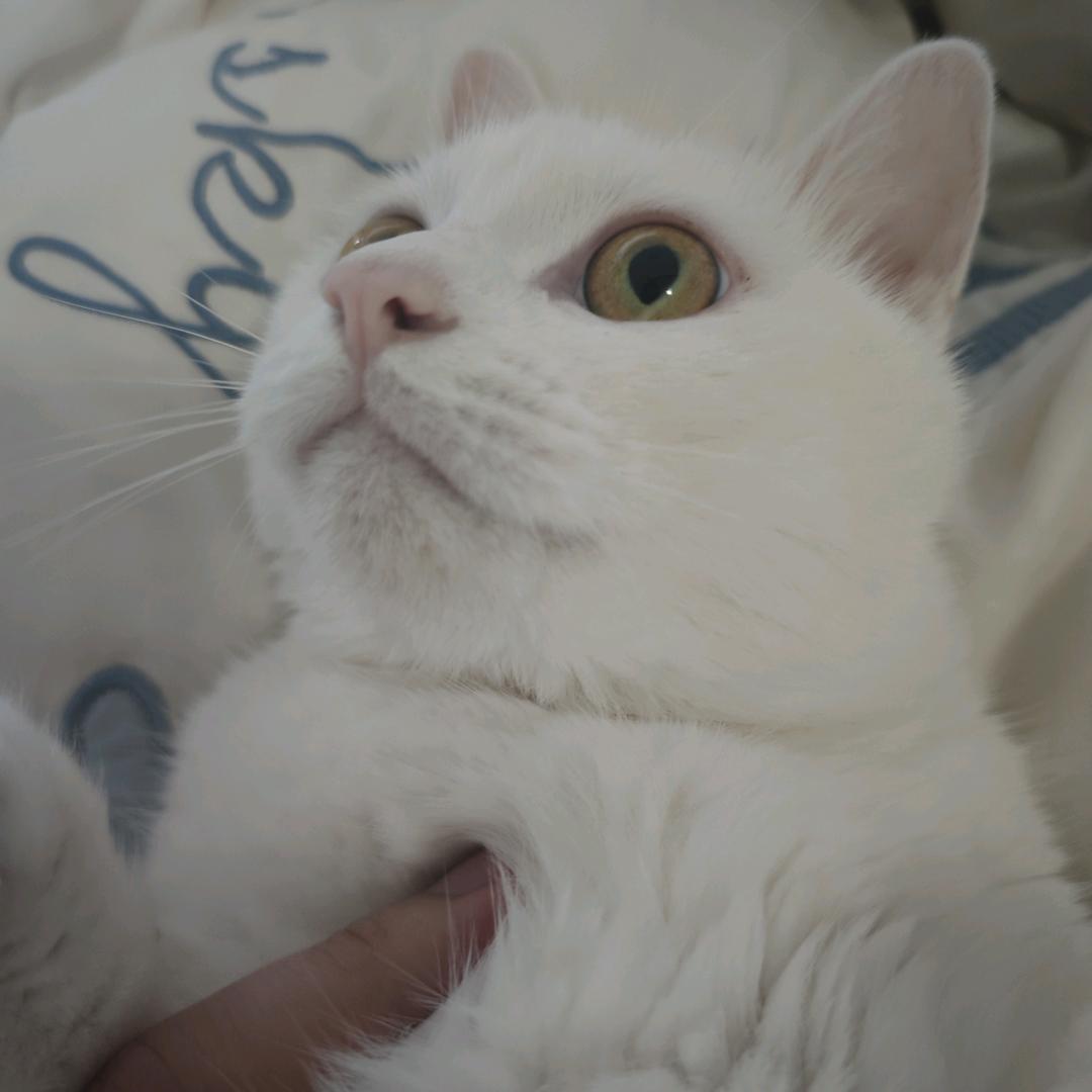 丶小巴
